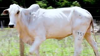 JUR 759