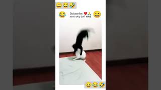 ❤️ இந்த கரிஷ் 😀#viral #cat #funny #comedy #shortvedio