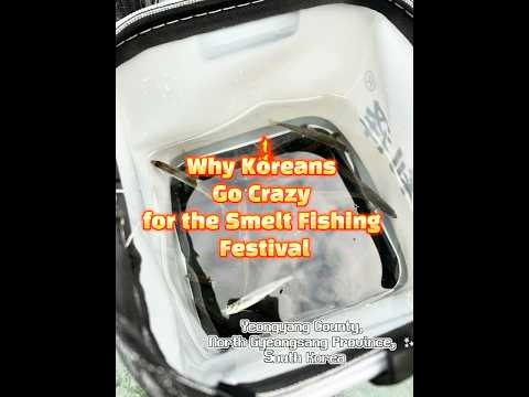 A short but special winter festival. #korea #winter #festival #fishing