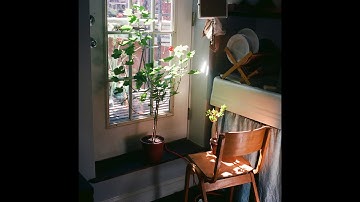 Lightning Bug - flower after flower (Official Audio)