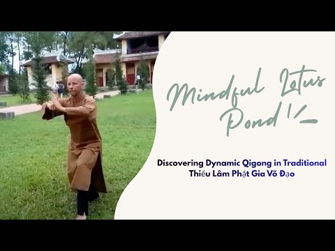 Video [Võ thuật] Thiếu Lâm Bắc Phái Phật Gia Quyền - Khí... - youtube
