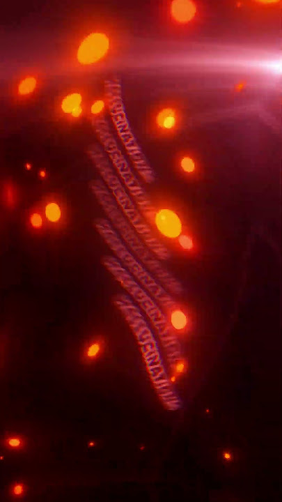 KORDHELL x DJ PAUL x CHRIS MOTIONLESS x KIL KROOK x STITCHES - Hallucinations.  #phonk