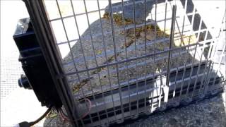 Carrier Infinity Air Purifier Maintenance How To Change Filter In Infinity Air Purifier