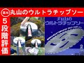 【草刈り】丸山のウルトラチップソー徹底検証レビュー　三洋金属S-1