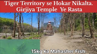 Tiger Territory se hokear Nikalta Girjiya Temple ka Rasta