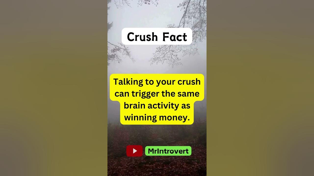 Crush Fact Talking to your crush can trigger the same brain activity as winning money YouTube