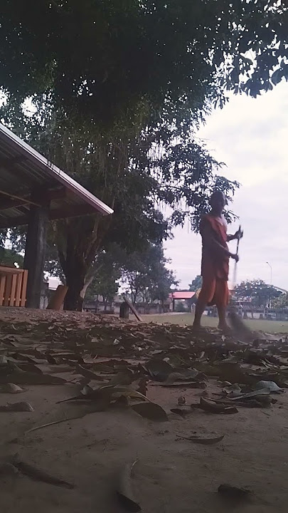 13 พฤศจิกายน ค.ศ. 2025