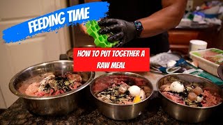 Feeding Time!!! Raw Meal Prep