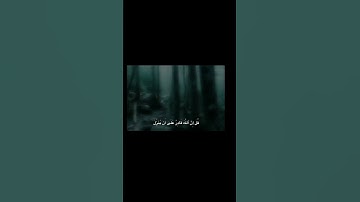 قُلْ إِنَّ اللَّهَ قَادِرٌ عَلَىٰ أَن يُنَزِّلَ | محمد صديق المنشاوي | سورة الأنعام