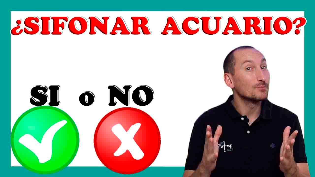 SIFONAR ACUARIO Y PECERA / MANTENIMIENTO / CAMBIOS DE AGUA