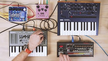 #039 :: Roland Tr-08 // SH-01A // Strymon Dig // Korg Monologue // EXH Cathedral