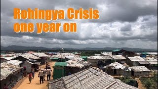 The Rohingya Crisis, One Year On