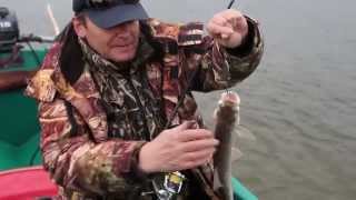 Рыбалка Астрахань.мумра.жерех