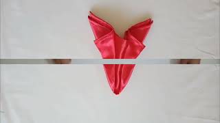 9 Basic Type of Table Napkin