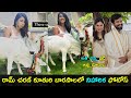 Niharika Konidela at Ram Charan daughter Barasala function photos