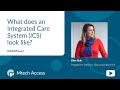 What does an integrated care system ics look like
