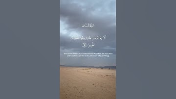 #اكسبلور  ماشاء الله تبارك الرحمن #لايك  تلاوه بديعه جدا #ترند