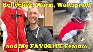 How to Keep Your Dog Warm – AOFITEE Winter Dog Coat Review