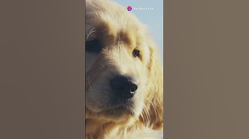 How to Face Criticism, Failure, and Fear with Courage