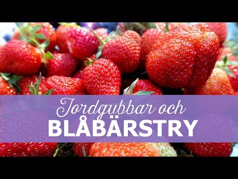 Video: Odla söta jordgubbar - vad får jordgubbar att smaka surt och hur man fixar dem