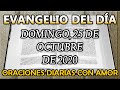 Evangelio del día Domingo, 25 de Octubre de 2020 - Amarás al Señor, tu Dios