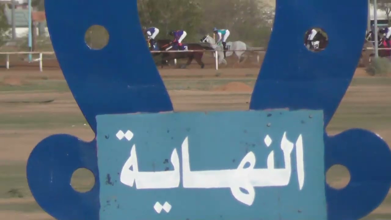 سمح الخاطر الحفل الرابع عشر الشوط الثاني موسم 1447هـ .