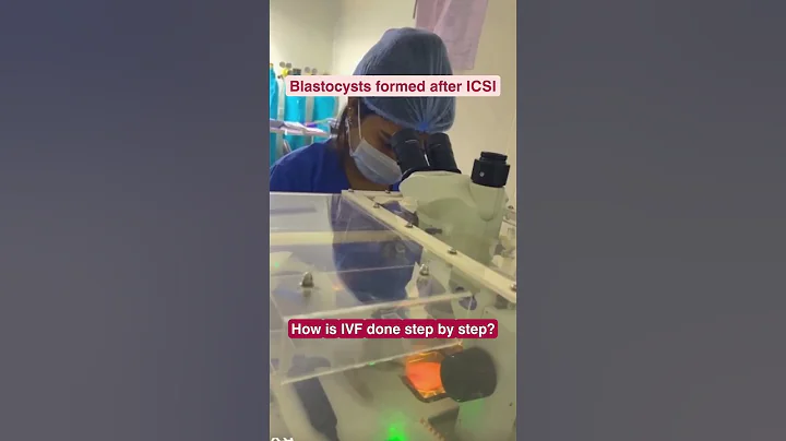 IVF- Step by Step process | Dr. Puja Rani from Indira IVF Ranchi, Jharkhand - DayDayNews