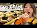 CONVEYOR BELT SUSHI FEAST🍣! Tokyo's FRESHEST Sushi Train Experience