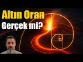 Altın Oran Nedir?  Doğada ve Sanatta İzleri.