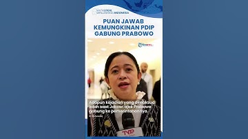 Jawaban Puan saat Ditanya PDIP Gabung ke Pemerintahan Prabowo-Gibran, Sunggingkan Senyum ke Media