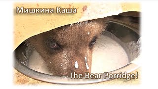 THE BEAR PORRIDGE