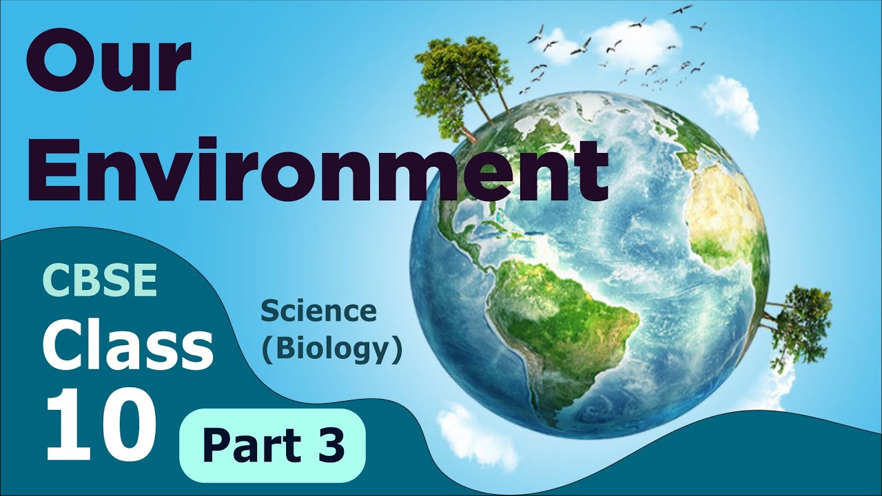 Our Environment CBSE Class 10 Science Biology Part 3 YouTube