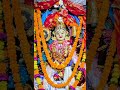 maa||kakatapur||ya devi Sarva  #maa#lyrics#shakti#odisha#bhajan #bhakti#trending#viral #shorts