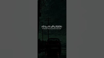 اكتب شيء تؤجر عليه 😴💚 قران كريم | إسلام صبحي