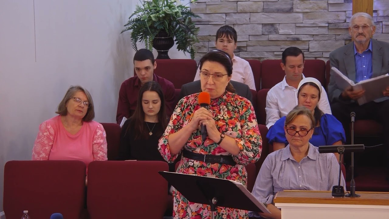 Надежда Пешкова | Сквозь серую дымку тумана (7.19.2026)