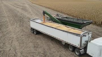 Harvest 2020 - Grain cart loading semi