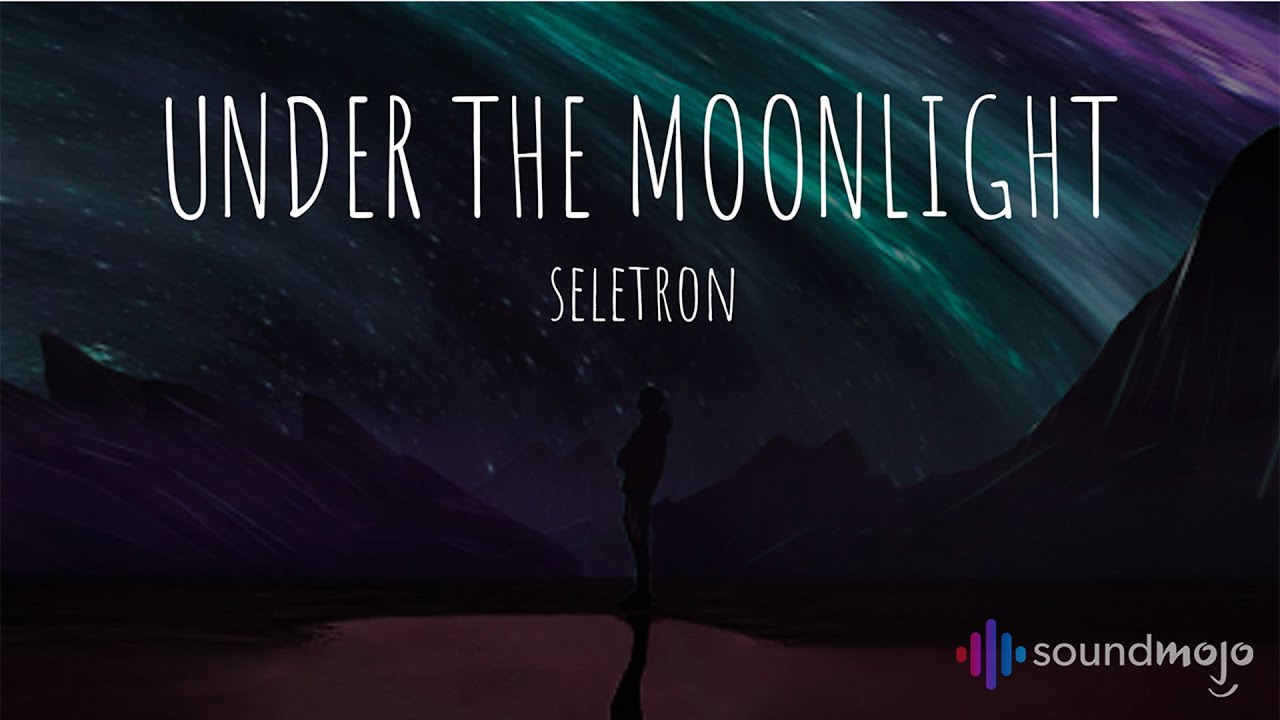 Seletron - Under The Moonlight (Visualizer)