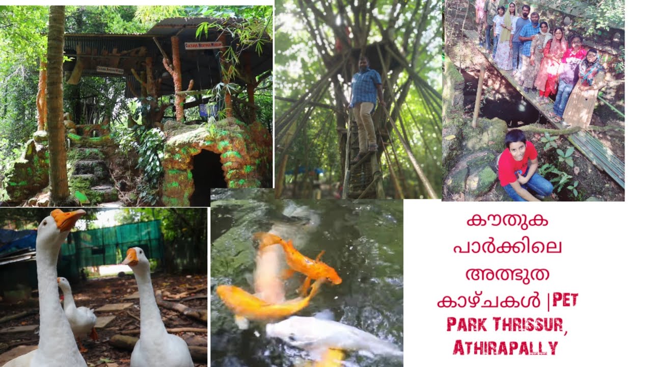 കൗതുകപാർക്കിലെ അത്ഭുത കാഴ്ചകൾKauthuka ParkPet ParkAthirapally