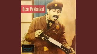 Bekçi Rıza Trafikçi