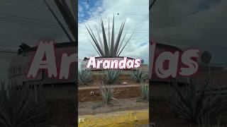 Arandas “La tierra del tequila” #Arandas #altosdejalisco #wc2026 #JoseObrero #visitmexico