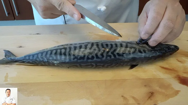 Shime Saba - Traditional Japanese Recipe for Sushi - DayDayNews