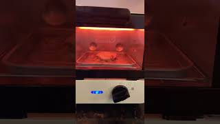 Tried to cook a cookie in a toaster oven, FAIL ? viral cookie fyp