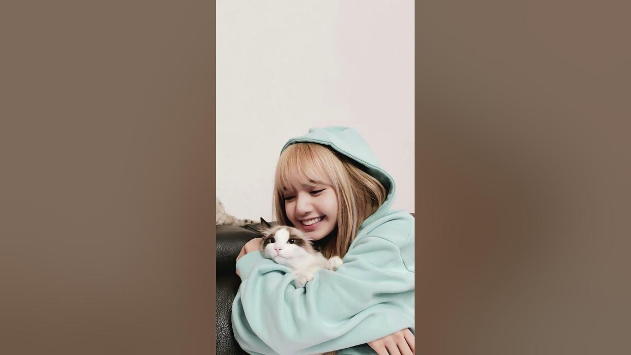 #jisoo #jennie # Lisa #rosa song #jisoo #jennie # Lisa #rosa song