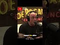 1st Scene Was INSANE #JoeRogan #PodcastClips #RelatableMoments #HonestConversation #firstimpression