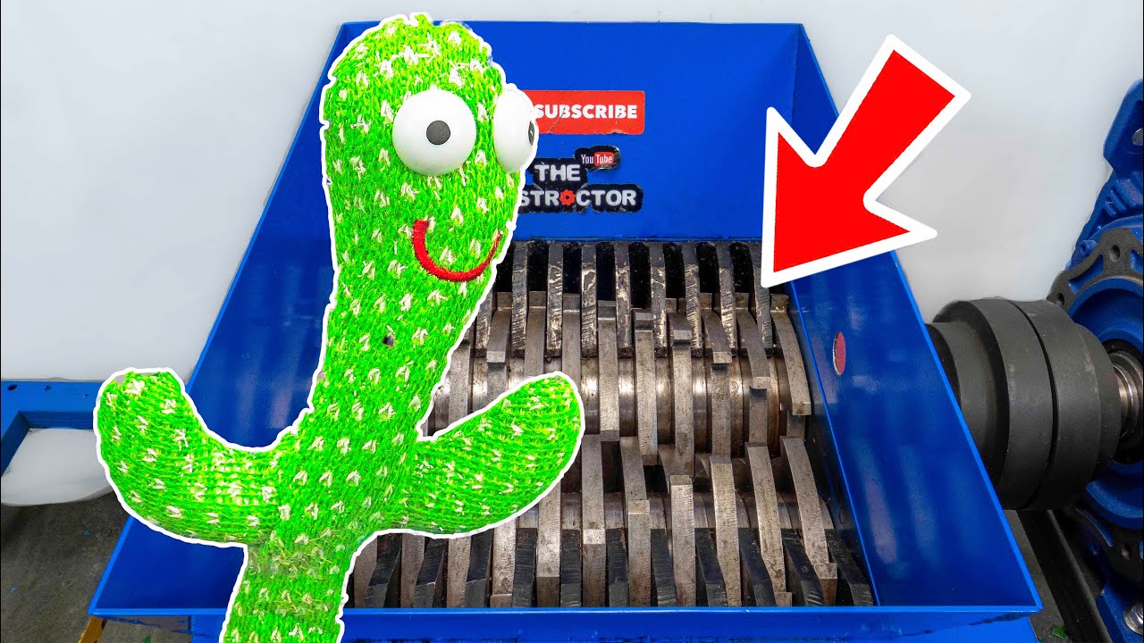 Will It Shred? | Cactus Toy Durability Test!