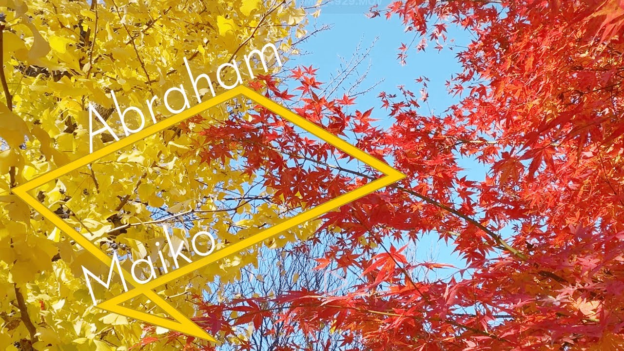 一回認めると、スッといく【エイブラハムの教え】