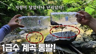 페트병 잘라 만든 자작통발!! 바늘10개씩 달았더니...대박이다! 와우!!