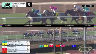 Vidéo de la course PMU STARTER ALLOWANCE