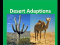 Desert Survival Adaptations in Animals and Plants