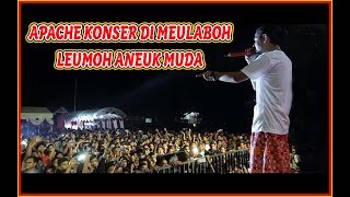 LEUMOH ANEUK MUDA -APACHE KONSER DI fESTIvAL BUMI TEUKU UMAR